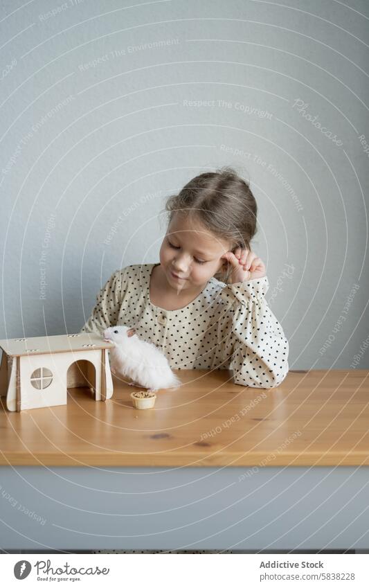 Junges Mädchen bewundert ihren Haustierhamster zu Hause Hamster heimwärts spielen hölzern Tisch Miniatur Fressnapf Lächeln Bewunderung sanft Tier weiß heimisch