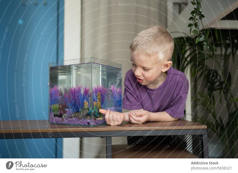 Kleiner Junge fasziniert von Fischen im heimischen Aquarium Kind Haustier Beobachtung farbenfroh aquatisches Leben heimwärts Interesse Neugier Engagement Tank