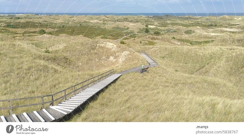 Amrum Ziel Ferien & Urlaub & Reisen Wege & Pfade Fußgängerweg Naturschutzgebiet Dünen Holzweg Landschaft Erholung Klima Idylle Küste Umwelt Himmel Dünengras