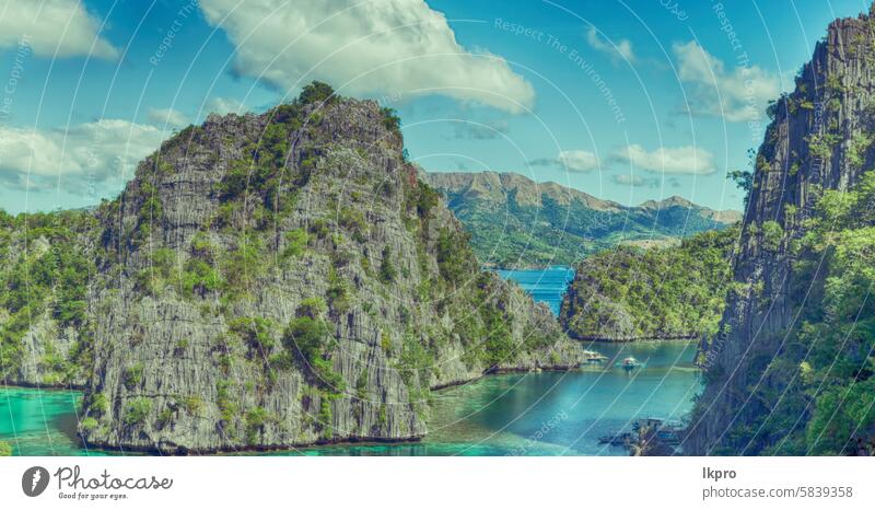 Blick von einer Klippe auf die wunderschöne Paradiesbucht Krone See Kajangan Philippinen Insel palawan Lagune tropisch Hintergrund Natur blau Landschaft Sommer