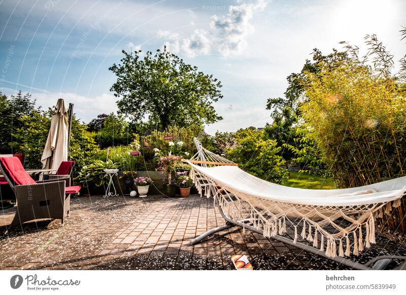 sprichwörtlich | zuhause ist kein ort, sondern ein gefühl Hängematte Garten Terrasse Pflanzen Natur Farbfoto wunderschön sommerlich Wärme Sonnenlicht Blume