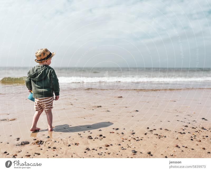 Kleiner Junge am Strand schaut in die Ferne Urlaub Urlaubsstimmung Ferien & Urlaub & Reisen Sommer Sommerurlaub Strandleben Kind unbeschwert Unbeschwertheit