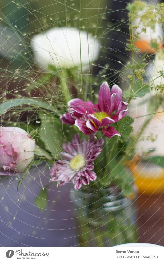 900-Blumen für mich! Blumenstrauß Garten bunt schön Bokeh Frühling Tisch Dekoration & Verzierung Freude Feiern Lebensfreude frisch gepflückt violett authentisch