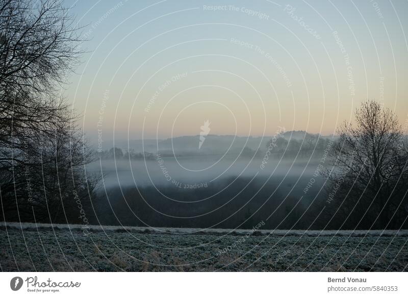 Morgennebel Dunst Landschaft Natur Nebel Nebelschleier Umwelt Licht Außenaufnahme Nebelstimmung Morgendämmerung Menschenleer Idylle Baum Morgenstimmung ruhig