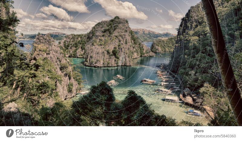 Blick von einer Klippe auf die wunderschöne Paradiesbucht Krone See Kajangan Philippinen Insel palawan Lagune tropisch Hintergrund Natur blau Landschaft Sommer