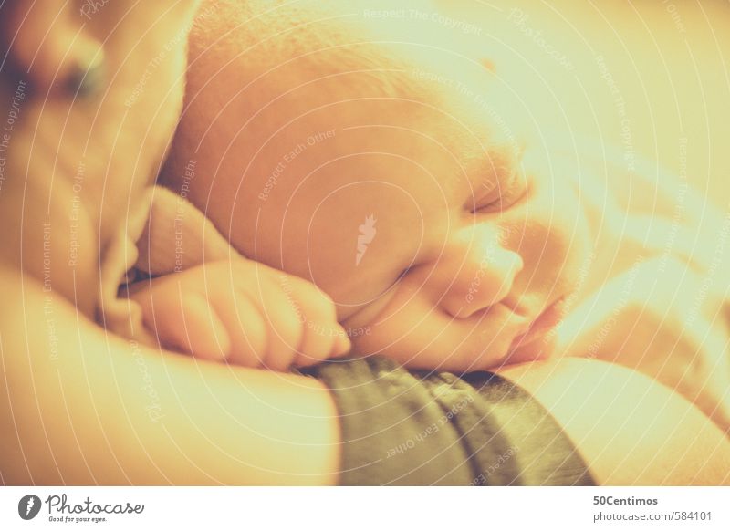 Schlafendes baby in mutters Arm Glück schön Gesundheit Häusliches Leben Wohnung Baby Kleinkind Frau Erwachsene Mutter Familie & Verwandtschaft Kopf 1 Mensch 2