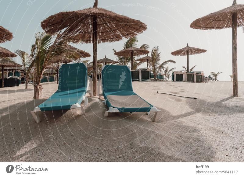 sandige Strandliegen mit Sonnenschirmen und Palmen am Strand Palm Beach Palmenwedel Sommer Urlaubsstimmung Sandstrand Außenaufnahme Ferien & Urlaub & Reisen