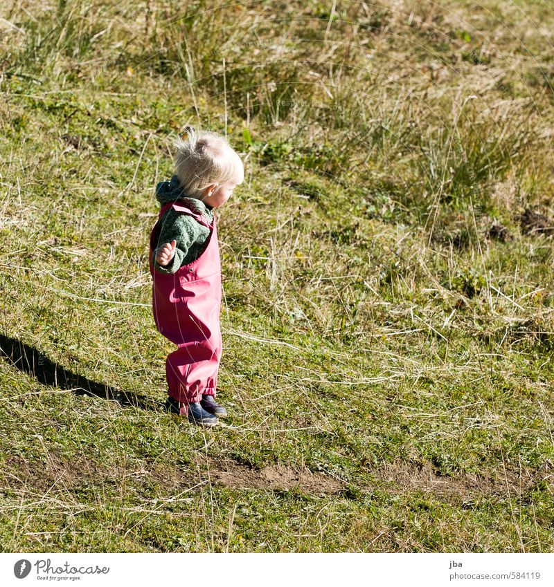 Herbstkind Leben Wohlgefühl Zufriedenheit Ausflug Sommer Berge u. Gebirge wandern Kindererziehung lernen Mensch feminin Kleinkind Mädchen Kindheit 1 1-3 Jahre