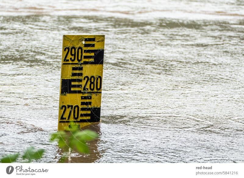 Wasserpegel-Messlatte ragt bei Hochwasser aus fließendem Gewässer Überflutung Fluss Regen