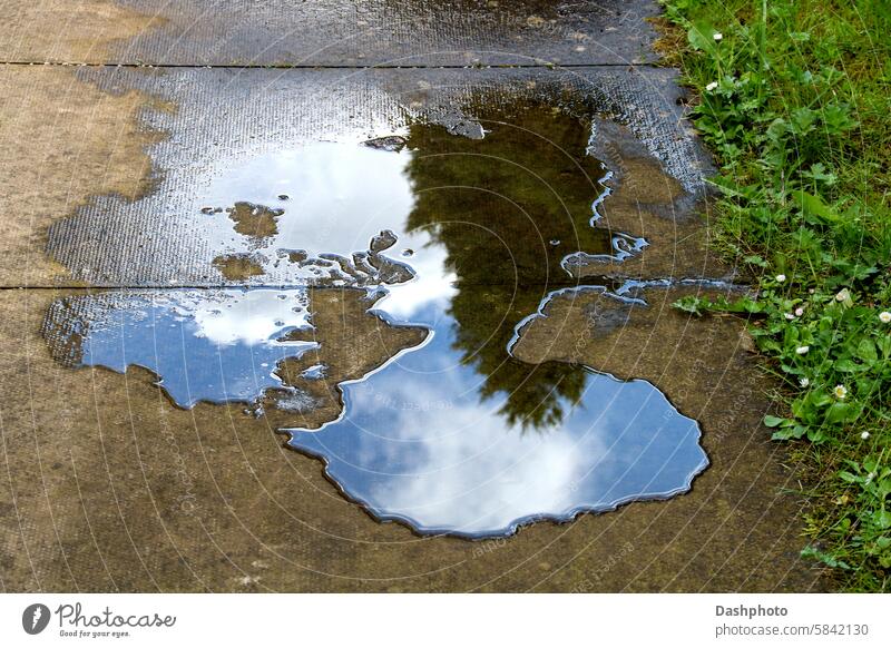 Wasserpfütze auf einem gepflasterten Fußweg im Garten mit Reflektionen Pool Pfütze Auslaufen nass Leckage Betrachtungen Reflexion & Spiegelung grün braun blau