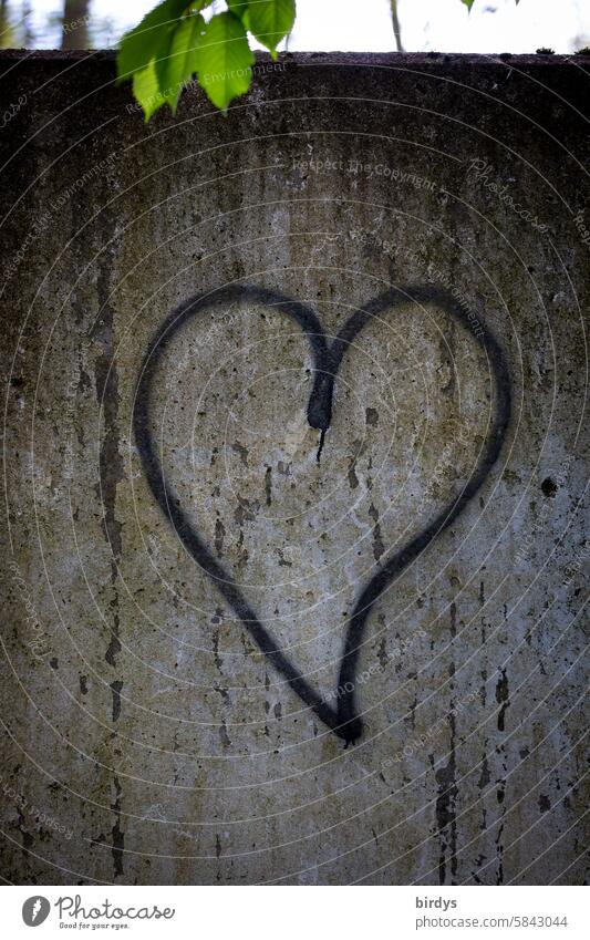 schwarzes Herz auf einer Betonmauer Liebe verliebt Eros Liebesbekundung Gefühle Verliebtheit Symbole & Metaphern Liebesgruß Blatt grau grün trist