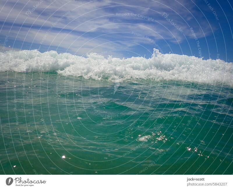 Das Rauschen der Welle winken Gischt Wellenschlag Urelemente Wellenform Meer Wasseroberfläche Wellenkamm Pazifik Meerwasser Wellenlinie Hintergrundbild frontal