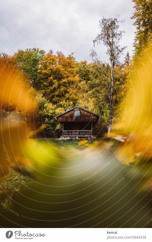 Wanderhütte Hütte Holzhütte Herbst Herbstfärbung bunt grün gelb braun versteckt einsam rustikal Holzbauweise Himmel draußen wandern