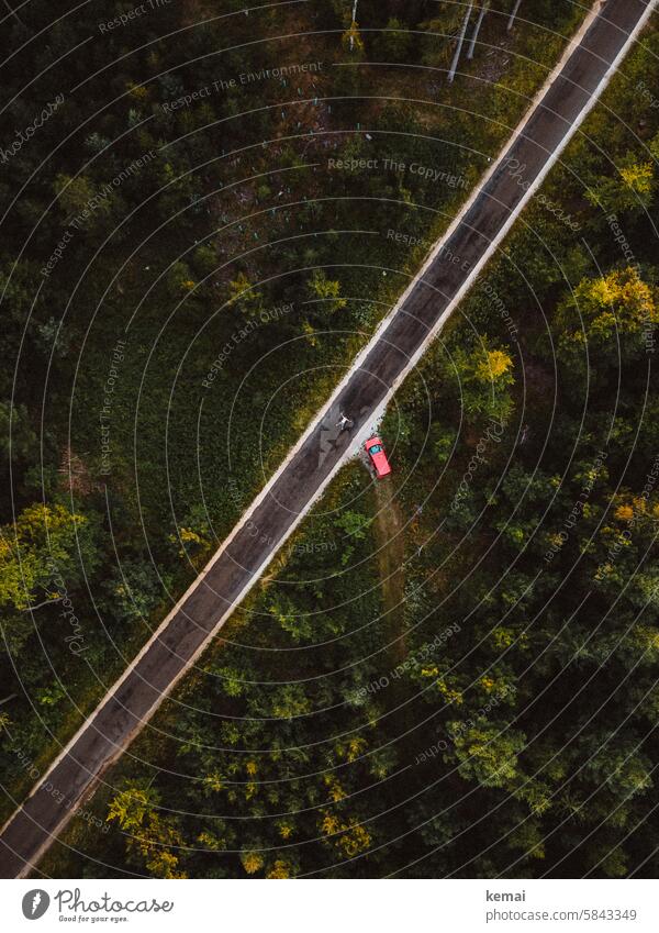 Straße und Auto von oben in Waldstück Waldweg Weg Mensch liegen Asphalt grün Herbst Drohnenansicht Vogelperspektive TopDown Weitwinkel Verkehr rot gerade