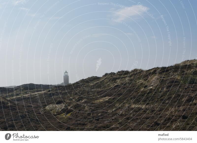 Leuchtturm Quermarkenfeuer Rotes Kliff auf Sylt Nordsee Insel Wattenmeer Nationalpark Insel Sylt Morgenstimmung Nebel Himmel Wasser Land grau braun blau