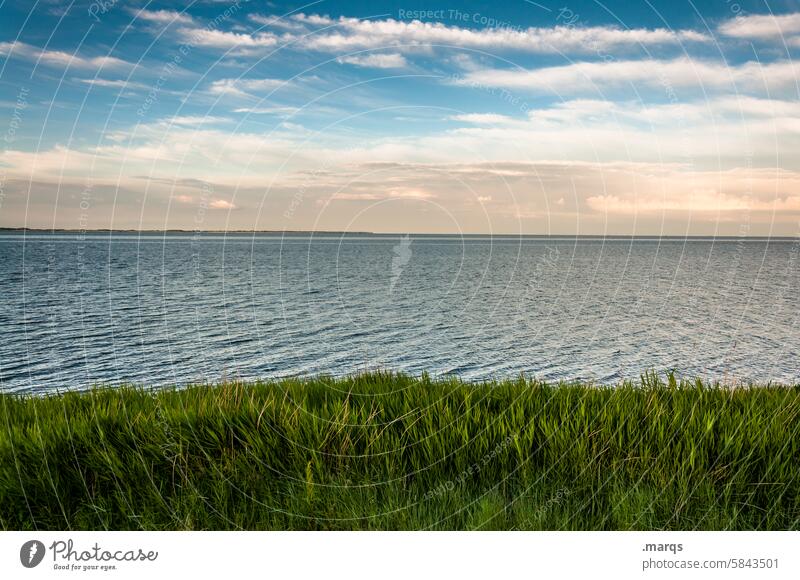 Nordsee Küste Sommer Erholung Tourismus Himmel Amrum maritim Umwelt Nordseeküste Wasser Natur Wattenmeer Nordfriesland Landschaft Meer Pflanze grün Gras Klima