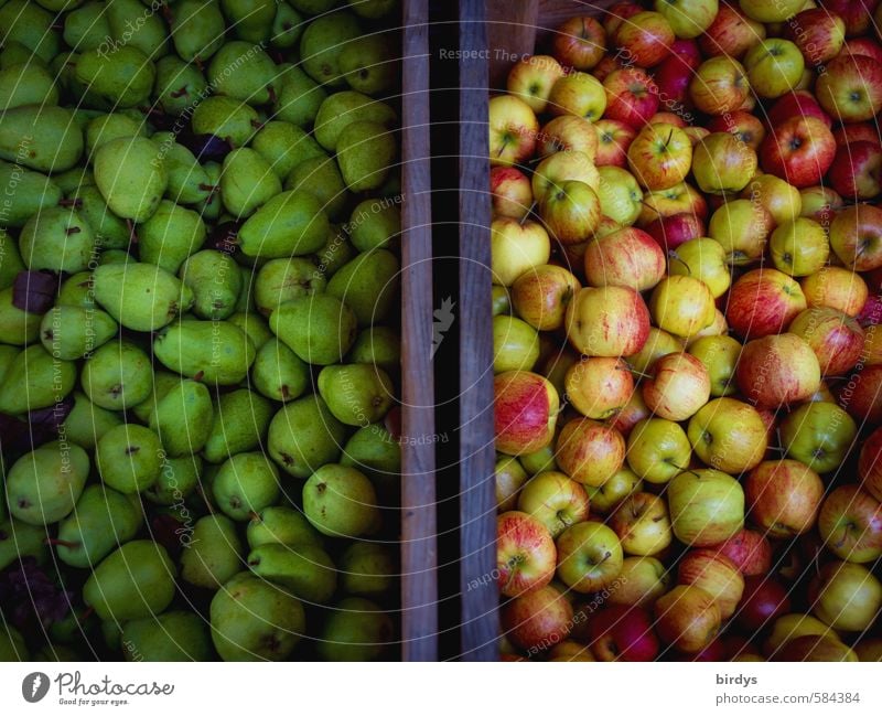 Kisten mit Birnen und Äpfeln nebeneinander. Vogelperspektive, Obst Obstkisten Lebensmittel Frucht Apfel vegan Ernährung Duft ästhetisch frisch lecker positiv