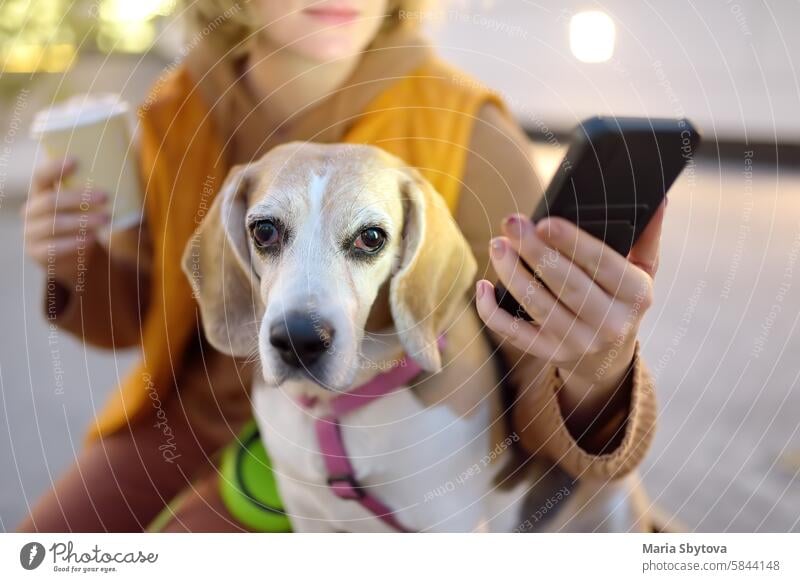 Hipster-Frau trinkt Kaffee beim Spaziergang mit altem Beagle-Hund entlang der Stadtstraße. Mädchen, Hundebesitzerin, sucht im Internet mit Smartphone-Anwendungen nach Produkten für Haustiere. Tierärztliche Notfallversorgung für Haustiere