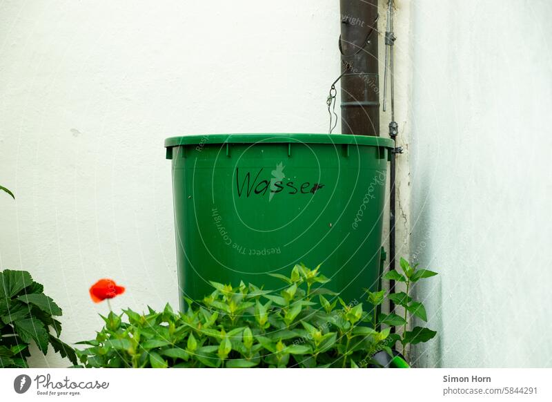 Regentonne und Dachrinne in einer Ecke, umgeben von weißen Wänden Wasser Regenwasser Wasservorrat gießen Bewässerung Garten Gartenarbeit grün Tonne Hausecke