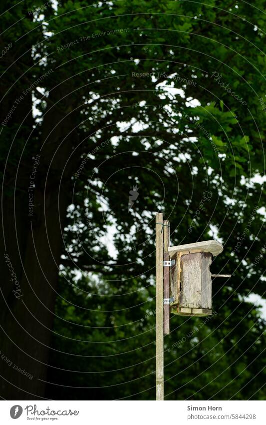 Vogelhäuschen vor einem großen Baum Vogelhaus Nistplatz Garten Vögel Umwelt Vordergrund Tier Gartenvögel Umgebung Ornithologie Außenaufnahme