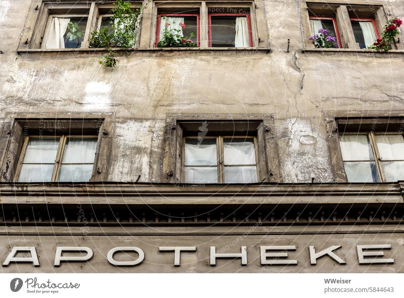 Ein altes Wohnhaus, in dessen Erdgeschoss sich eine traditionelle Apotheke befindet Haus Fassade Fenster wohnen Stadt Mehrfamilienhaus Miete geschäftlich