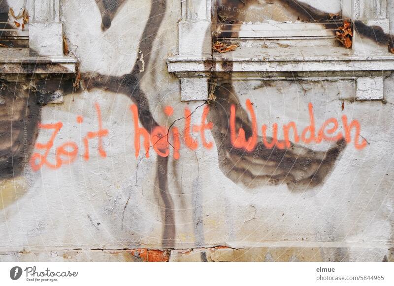 Graffiti mit Text  - Zeit heilt Wunden - an einer alten Hauswand Trost Spruch Straßenkunst Weisheit Schmiererei Wandmalereien Jugendkultur Blog Subkultur