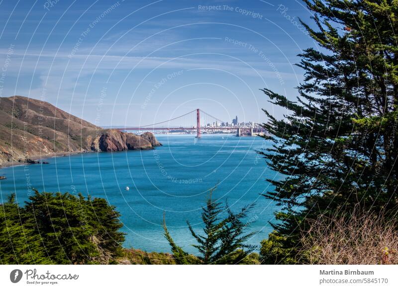 Panoramablick über die Bucht von San Francisco und die Golden Gate Bridge Brücke Kalifornien Großstadt Meer Baum Tag Wahrzeichen USA Sommer berühmt Pflanzen