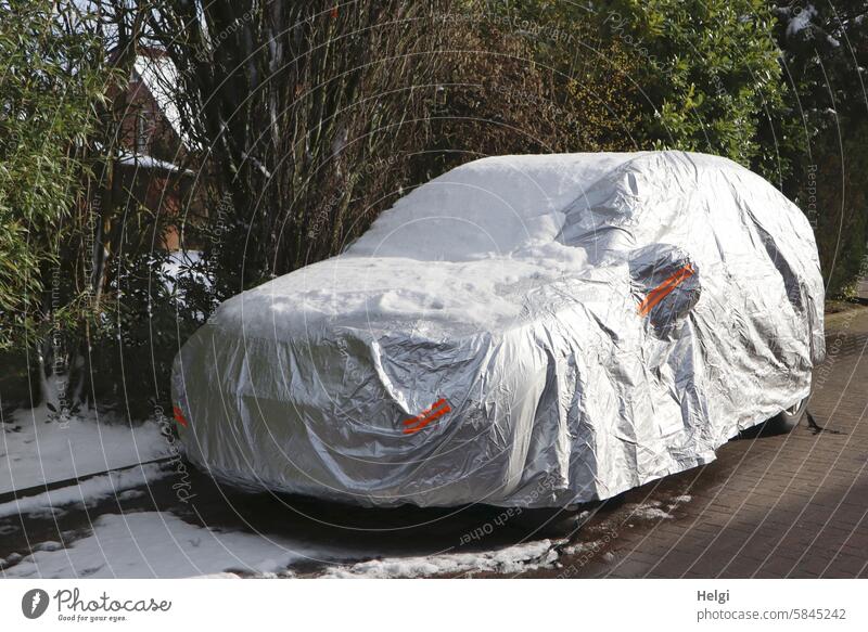 verschlossen und verhüllt Auto Kraftfahrzeug Schutz Schutzhülle Winter Schnee Straßenrand Baum Strauch abgestellt parken PKW Fahrzeug Menschenleer Außenaufnahme