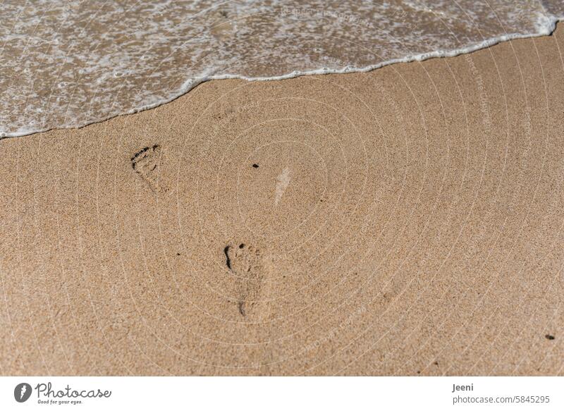 Spuren hinterlassen Sommer Wasser Fuß nass Fußspuren Freiheit Spaziergang Barfuß Meer Strand Fußabdrücke Postkarte Urlaub Natur gehen Ufer Wellen