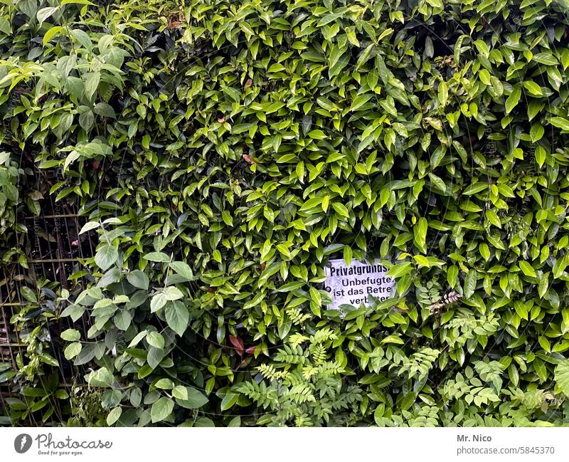 Privatgrundstück Hecke zugewachsen Zaun Schilder & Markierungen Hinweisschild privat Schriftzeichen Warnschild grün Sicherheit unbefugt Betreten verboten