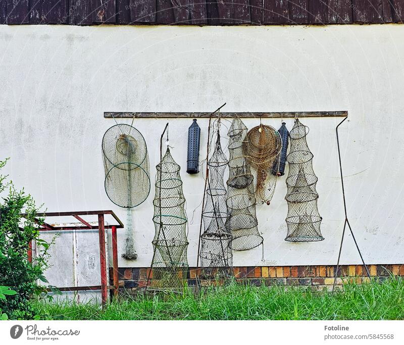 Fischreusen hängen an Haken an der Wand eines Hauses im Spreewald. Reuse Fischerei Netz Hauswand Fassade Wiese Rasen Fischernetz Fischfang Strukturen & Formen