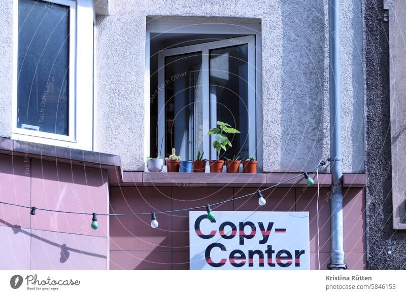 leben und arbeiten am copy-center copycenter lichterkette fenster fensterbank pflanzen blumentöpfe minigarten wohnung business wohnen urban haus gebäude