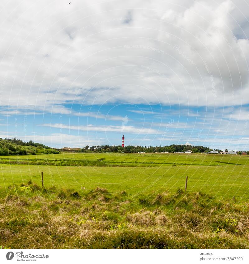 Nordfriesisch Leuchtturm Himmel Wiese Natur Ferien & Urlaub & Reisen Horizont Landschaft Sehenswürdigkeit Sommerurlaub Schönes Wetter Nordsee Wolken