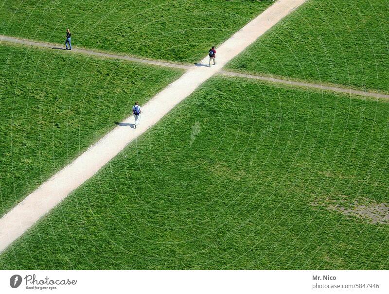 wegkreuzung Wege & Pfade Kreuzung Wiese Rasen Fußgänger grün Gras Park Spaziergang Fußweg Landschaft Trampelpfad Vogelperspektive zu fuß geradeaus