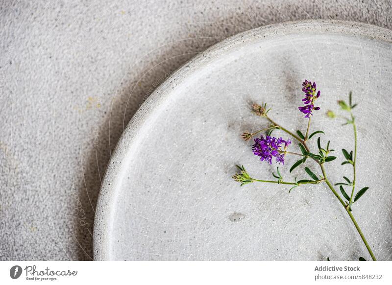 Minimalistisch gedeckter Sommertisch mit Wildblumen minimalistisch Tabelleneinstellung Keramik Teller purpur filigran Zweig einfach natürlich Schwingung