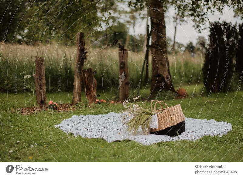 Picknick im Garten Menschenleer Außenaufnahme Sommer Natur grün Gras genießen Erholung
