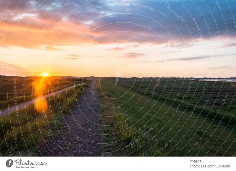 Der Anfang vom Ende des Tages Amrum Norddeutschland Freiheit ruhig Umwelt kitschig Himmel Abend Wiese Landschaft Zufriedenheit genießen Schönes Wetter Horizont