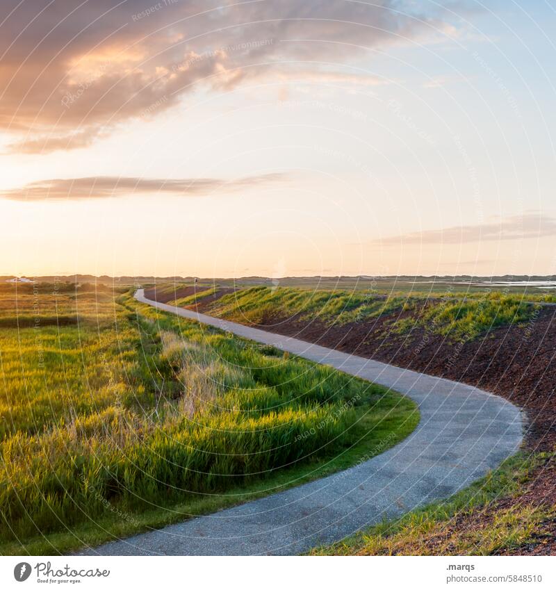 Kein Weg zu weit Wege & Pfade Landschaft Deich Küste Sommer Gras Wolken Grasland Sonnenuntergang Licht Spazierweg Erholung Natur Ruhe Idylle Zukunft Horizont