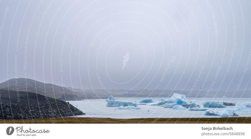 Stille im Nebel über der Jökulsarlon Lagune in Island Jökulsárlón jokulsarlon isländisch Gletschereis Eis Natur Wasser Eisberg kalt Klima Klimawandel Landschaft