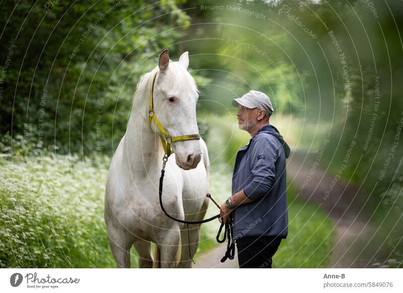 ein Mann mit Bart redet ein ernstes Wörtchen mit seinem weißen Pferd auf einem grünen Waldweg weißgeboren Knabstrupper Tierkommunikation Körpersprache Training