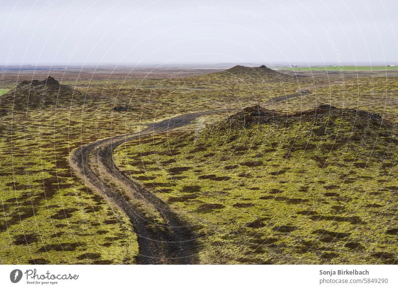 Kleine Berge :) Island Landschaft Hügel Moos Gras Außenaufnahme Menschenleer Farbfoto isländisch Natur natürlich grün Europa Tourismus reisen Urlaub Islandtrip