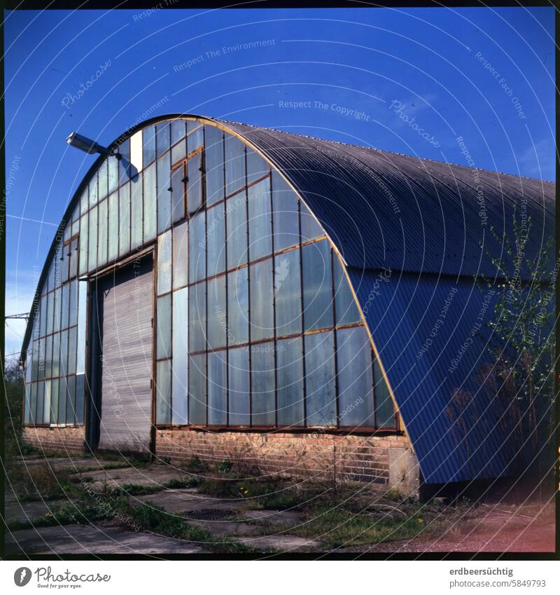 leerstehende Lagerhalle mit Tonnendach aus Glas auf Brachgelände vor blauem Himmel Halle rund Blau Brache Leerstand Stillstand verwildert ausgedient