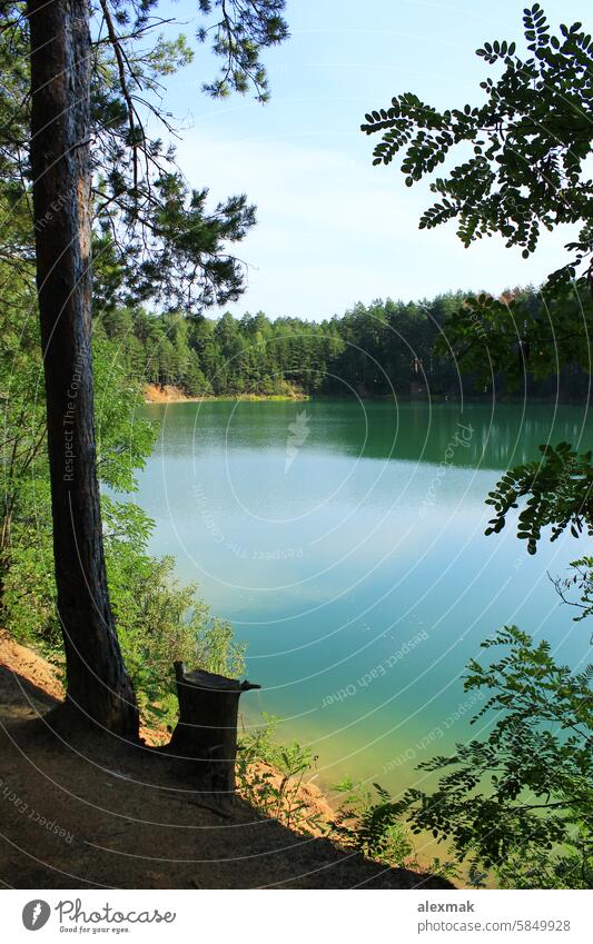 Waldsee mit smaragdgrünem Wasser. Schöne Wasserlandschaft See Seenlandschaft Natur reisen Fluss Landschaft Holz Sommer Baum Stumpf sich[Akk] entspannen Ansicht