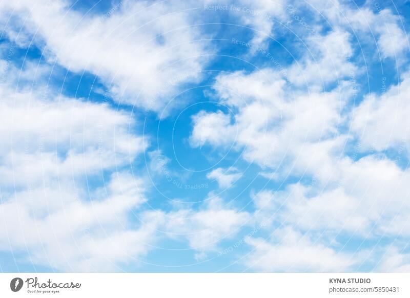Blauer Himmel Hintergrund im Freien abstrakt Air Atmosphäre schön Schönheit blau hell übersichtlich Cloud Wolken Wolkenlandschaft wolkig Farbe Tag Umwelt