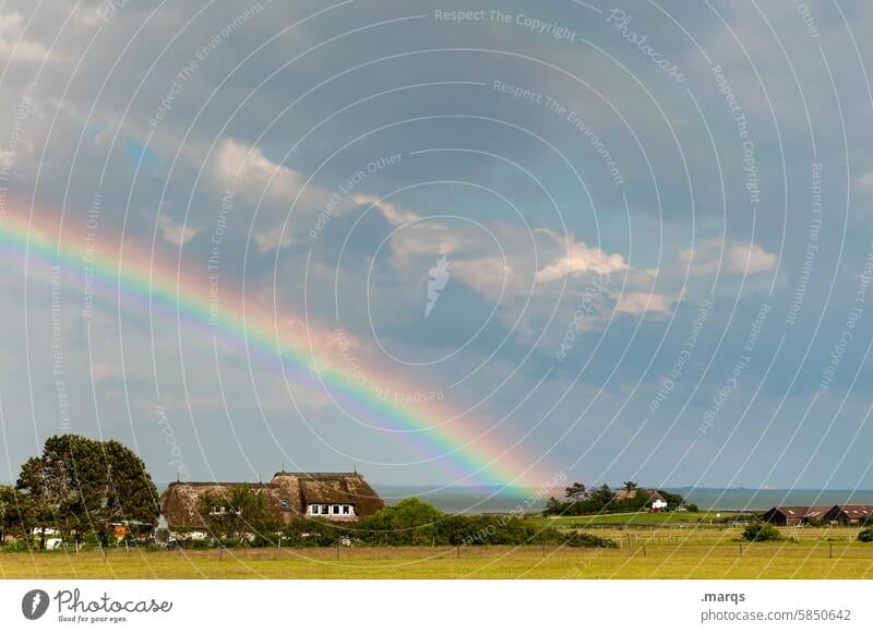 Regenbogen am Watt Glück Wetter Himmel Umwelt Naturphänomene mehrfarbig Klima Stimmung Wolken Landschaft Haus Wattenmeer Nordsee Weide Horizont