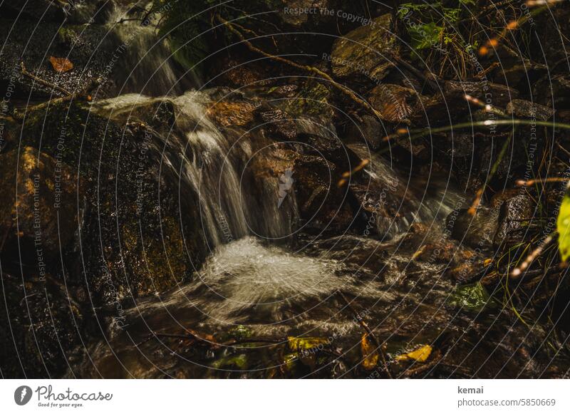 Kleiner Wasserfall Bach klein schön fließen Idylle Langzeitbelichtung dunkel