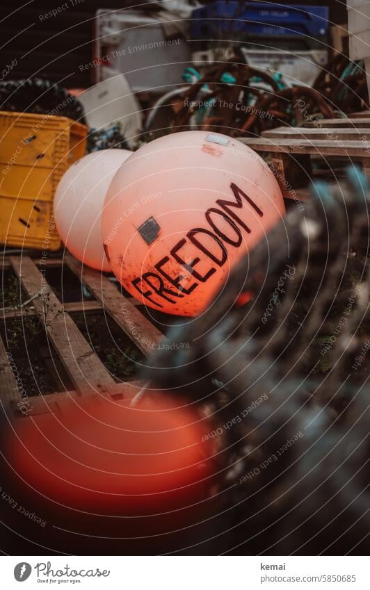 Freiheit Wort Freedom Boje Hafen Netz alt benutzt Außenaufnahme Farbfoto Küste Menschenleer orange rund Message