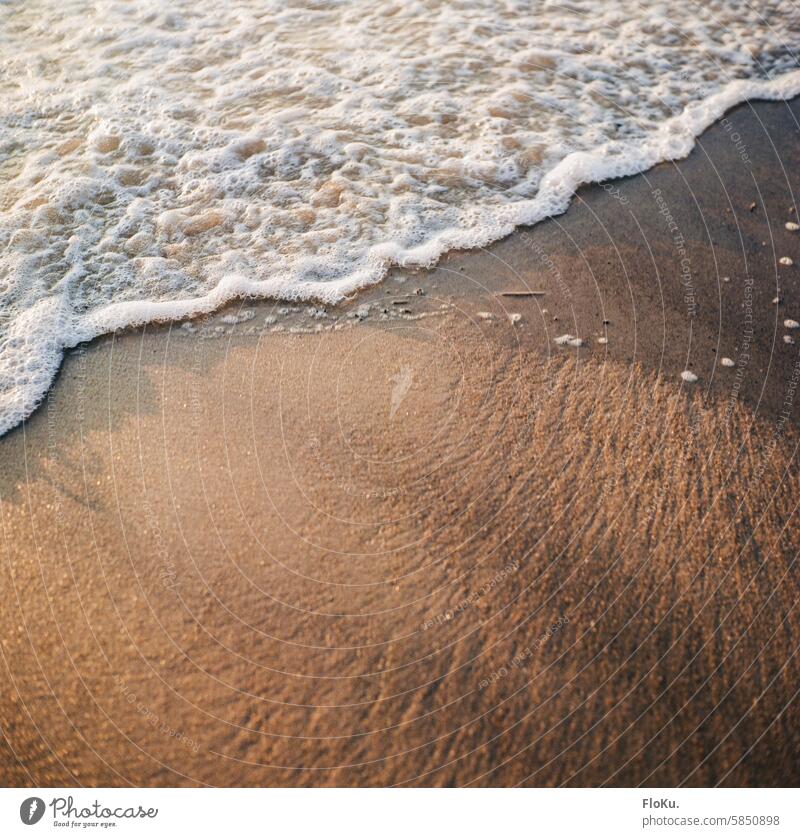 Welle am Strand in Kodak Gold Meer Sand Wasser Wellen Erholung Ferien & Urlaub & Reisen Küste Natur Sommer Tourismus Sommerurlaub Farbfoto Schönes Wetter