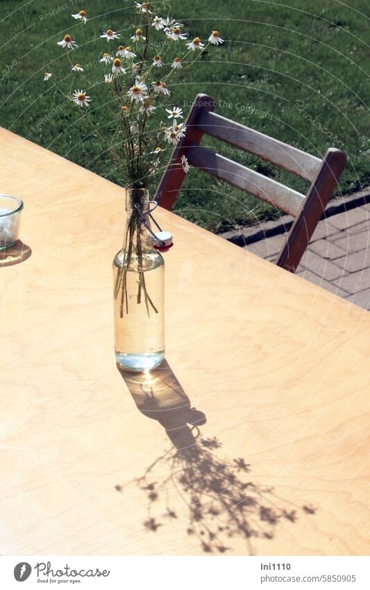 noch ein freier Platz Sonnenschein Landwirtschaft draußen Hoffest Blumendeko zünftig passend Tisch Holztisch einladend Stuhl Wasserflasche Bügelflasche Pflanzen