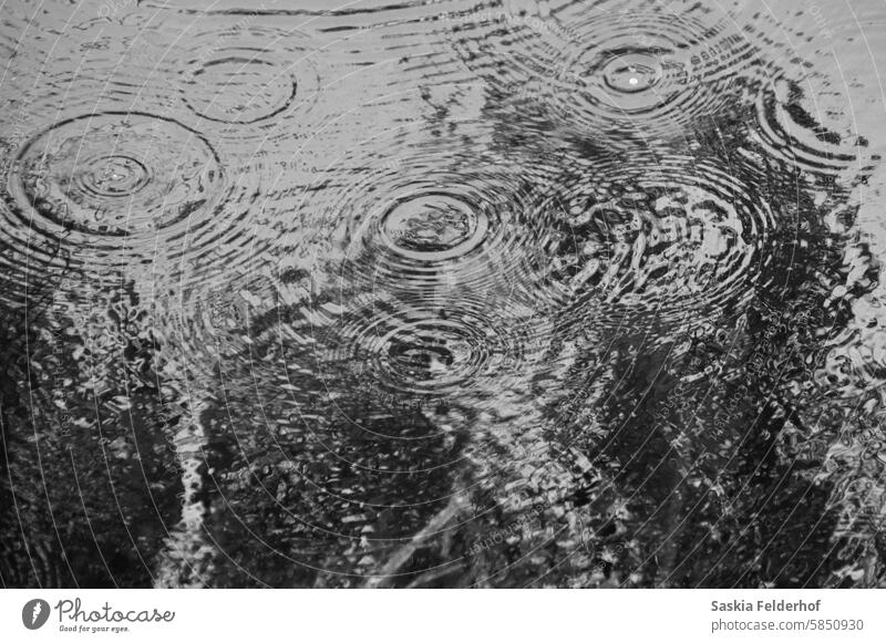 Regentropfen - monochrom Wasser Monochrom Wetter Klima dunkel Unwetter Wassertropfen kräuselt Kreise Muster Natur Umwelt Klimawandel schwarz auf weiß